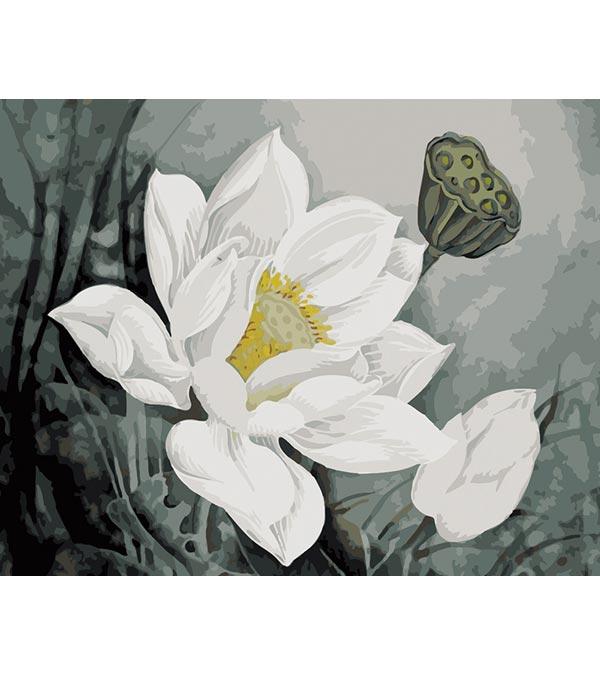 Canvases Paint Lotus Flower Numbers